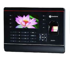 Doch�zkov� termin�l realand zdc80